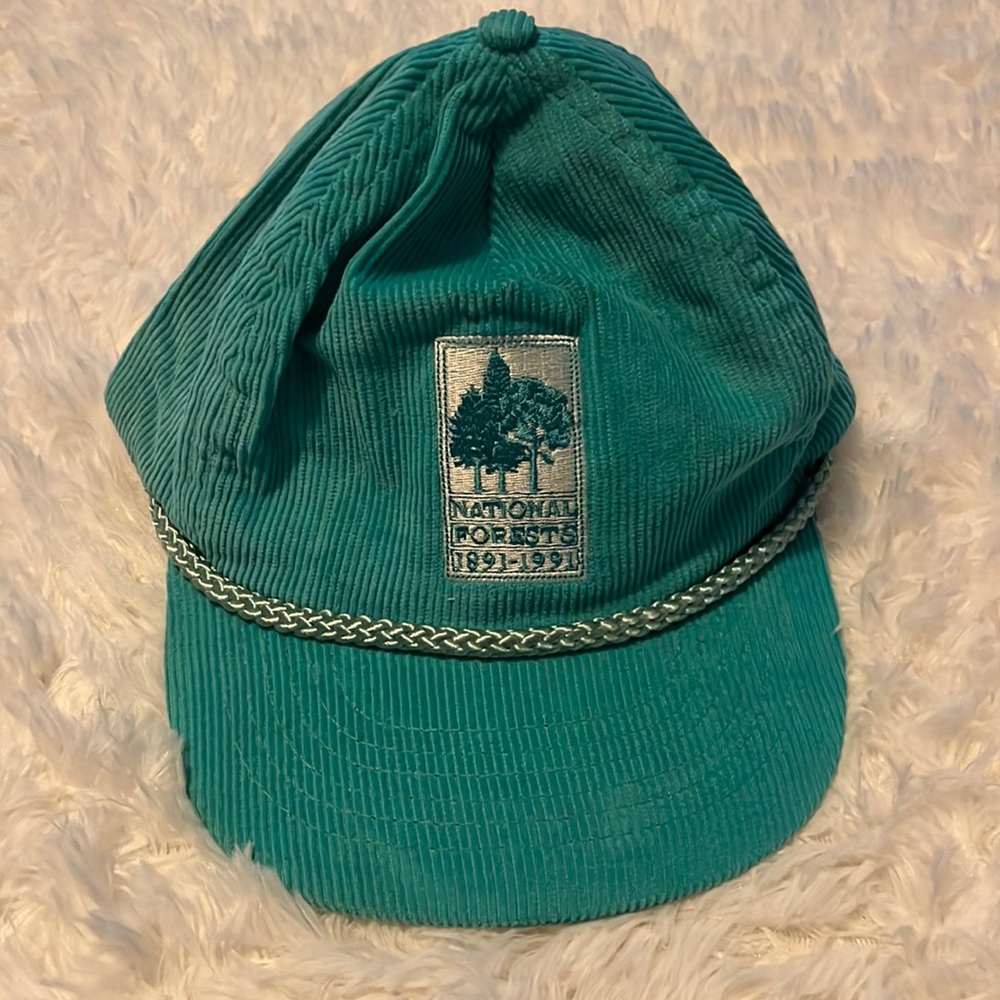 Vintage National Forests hat